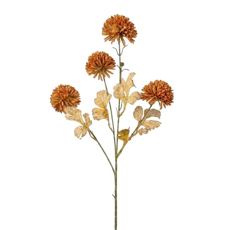 Dahlia Brown 02